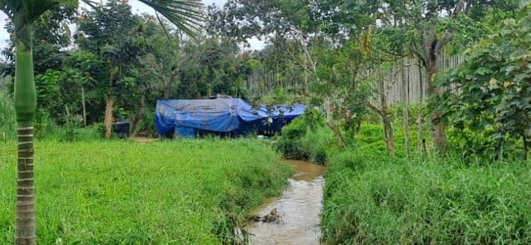 വെള്ളച്ചാൽ ഉന്നതിയിലെ ഒൻപത് ഗോത്ര കൂടുംബങ്ങൾക്ക് അടിസ്ഥാന സൗകര്യങ്ങളില്ല