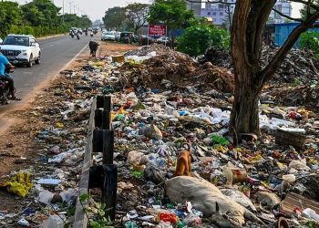 മാലിന്യപ്രശ്‌നം ഉടന്‍ അറിയിക്കാം, സംസ്ഥാനത്ത് ഒറ്റ വാട്‌സ്ആപ്പ് നമ്പര്‍; പിഴത്തുകയുടെ നാലിലൊന്ന് പാരിതോഷികം
