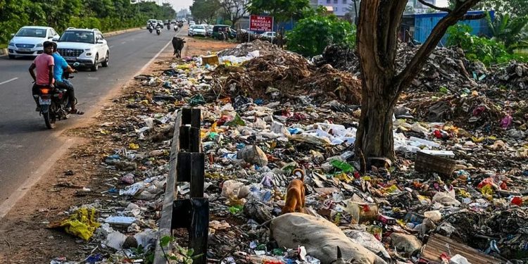 മാലിന്യപ്രശ്‌നം ഉടന്‍ അറിയിക്കാം, സംസ്ഥാനത്ത് ഒറ്റ വാട്‌സ്ആപ്പ് നമ്പര്‍; പിഴത്തുകയുടെ നാലിലൊന്ന് പാരിതോഷികം