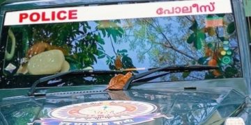 സുധീഷിന്റെ ഭാര്യയുടെ മരണം കുളിക്കടവിൽ, പ്രതികളും സാക്ഷിയും ദുരൂഹസാഹചര്യത്തിൽ മരിച്ചു; വിവരങ്ങൾ തേടി എസ്ഐടി