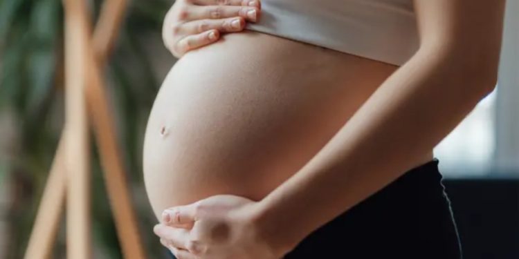 കൃത്രിമ ഗർഭധാരണത്തിനായി അണ്ഡം സൂക്ഷിക്കാൻ അനുമതി തേടി ഹൈക്കോടതിയിൽ ട്രാൻസ്‌ പുരുഷൻ്റെ ഹർജി