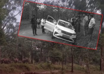 കാറിന് നേരെ പാഞ്ഞടുത്ത് കാട്ടാന