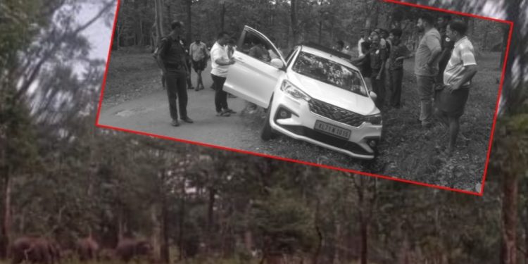 കാറിന് നേരെ പാഞ്ഞടുത്ത് കാട്ടാന