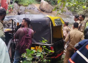 റോഡിൽ പാമ്പിനെ കണ്ട് ഓട്ടോ വെട്ടിച്ചു, 50 അടി താഴെയുള്ള തോട്ടിലേക്ക് മറിഞ്ഞ് അപകടം; മൂന്നാം ക്ലാസുകാരിക്ക് ദാരുണാന്ത്യം