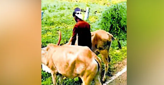 മുഖംമൂടി കാട്ടി കടുവകളെ പേടിപ്പിക്കാൻ വനംവകുപ്പ്; നടപ്പാക്കുക സുന്ദർബൻസ് തീരത്ത് വിജയിച്ച പരീക്ഷണം