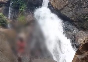 വനത്തിൽ കാണാതായ ആദിവാസി കുടുംബത്തെ കണ്ടെത്തി