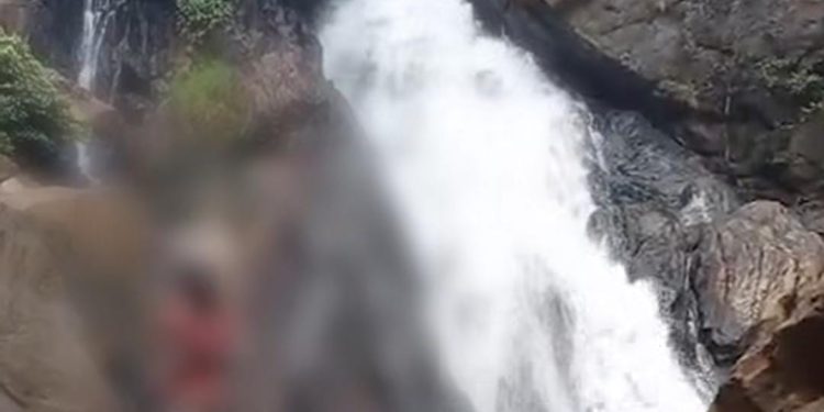 വനത്തിൽ കാണാതായ ആദിവാസി കുടുംബത്തെ കണ്ടെത്തി