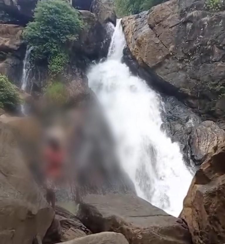 വനത്തിൽ കാണാതായ ആദിവാസി കുടുംബത്തെ കണ്ടെത്തി