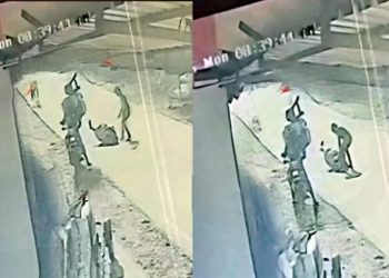 ബൈക്കിടിച്ച് വയോധികയ്ക്ക് ഗുരുതര പരിക്ക്