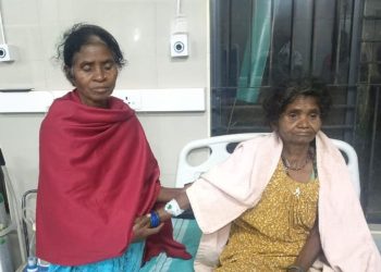 കാട്ടാന ആക്രമണം; വയോധികയ്ക്ക് പരിക്ക്