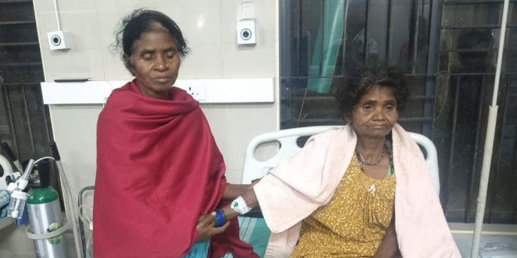 കാട്ടാന ആക്രമണം; വയോധികയ്ക്ക് പരിക്ക്