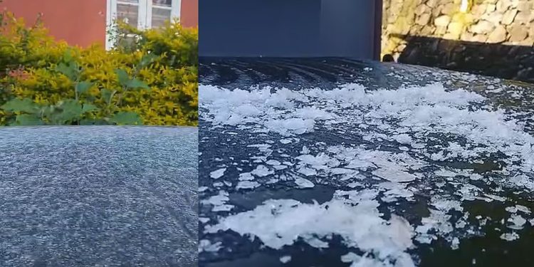 തണുത്തുറഞ്ഞ് മൂന്നാർ; താപനില പൂജ്യത്തിൽ!