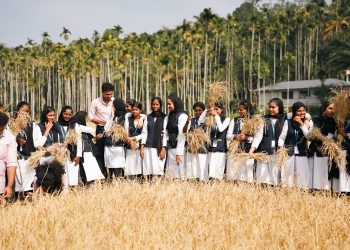 ആറാം വർഷവും കൊയ്ത്തുത്സവം വിപുലമായി ആഘോഷിച്ച് നീലഗിരി കോളേജ് അധ്യാപകരും വിദ്യാർത്ഥികളും