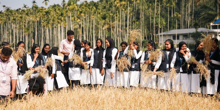 ആറാം വർഷവും കൊയ്ത്തുത്സവം വിപുലമായി ആഘോഷിച്ച് നീലഗിരി കോളേജ് അധ്യാപകരും വിദ്യാർത്ഥികളും