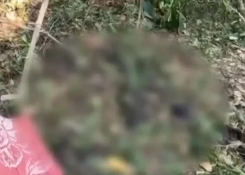 ആളൊഴിഞ്ഞ പറമ്പിൽ അസ്ഥികൂടം