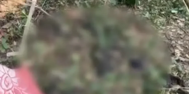 ആളൊഴിഞ്ഞ പറമ്പിൽ അസ്ഥികൂടം