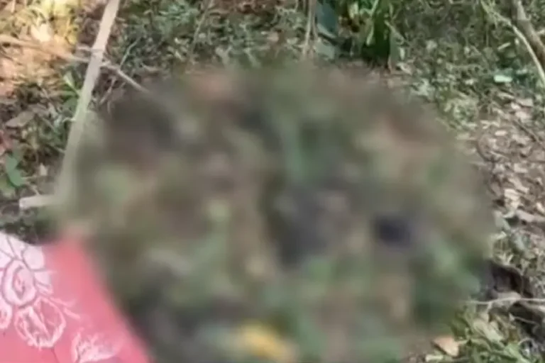 ആളൊഴിഞ്ഞ പറമ്പിൽ അസ്ഥികൂടം