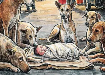 ചോരക്കുഞ്ഞ് കൊടുംതണുപ്പിൽ ഉപേക്ഷിക്കപ്പെട്ട നിലയിൽ; രാത്രി മുഴുവൻ സംരക്ഷണവലയം തീർത്ത് തെരുവുനായ്ക്കൾ