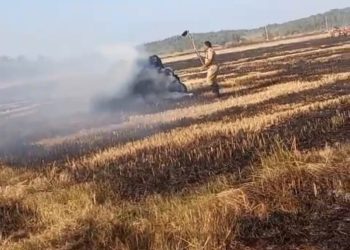 നമ്പികൊല്ലി വയലിൽ വൈക്കോൽ കെട്ടുകൾ കത്തിനശിച്ചു