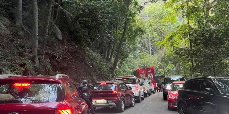 താമരശ്ശേരി ചുരത്തിലെ ഗതാഗതക്കുരുക്കിന് ശാശ്വത പരിഹാരം വേണമെന്ന് കെ.സി.വൈ.എം മാനന്തവാടി രൂപത