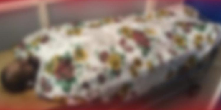 മരം മുറിച്ച് നീക്കുന്നതിനിടെ അപകടം: തൊഴിലാളി മരിച്ചു