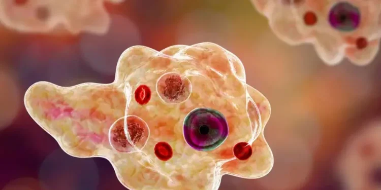 സംസ്ഥാനത്ത് വീണ്ടും അമീബിക് മസ്തിഷ്കജ്വര മരണം, മരിച്ചത് കോഴിക്കോട് സ്വദേശി