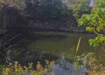 ‘കൊറിയൻ സുഹൃത്ത്’ കബളിപ്പിക്കൽ?, ആ സമ്മാനങ്ങൾ അയച്ചതാര്?; ആദിത്യയുടെ ഫോൺ തുറക്കാൻ പൊലീസ്