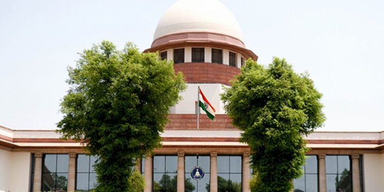 കടിക്കാതിരിക്കാന്‍ ഇനി കൗണ്‍സലിങ് നല്‍കാം; തെരുവുനായകള്‍ക്ക് ഏത് മൂഡ് എന്ന് എങ്ങനെ അറിയും?, പരിഹാസവുമായി സുപ്രീം കോടതി