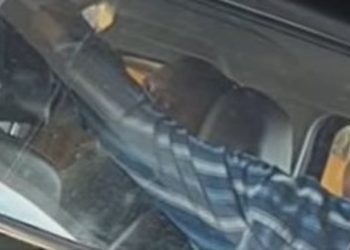 സ്റ്റേഷന് മുന്നിലെ വാഹനത്തിലിരുന്ന് പൊലീസുകാരുടെ പരസ്യ മദ്യപാനം; വിഡിയോ വൈറല്‍; അന്വേഷണം