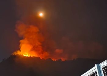 കോഴിക്കോട് കുറ്റ്യാടി ചുങ്കകുറ്റി വനത്തിൽ തീപിടിത്തം