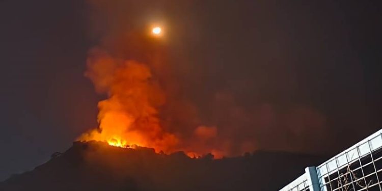 കോഴിക്കോട് കുറ്റ്യാടി ചുങ്കകുറ്റി വനത്തിൽ തീപിടിത്തം