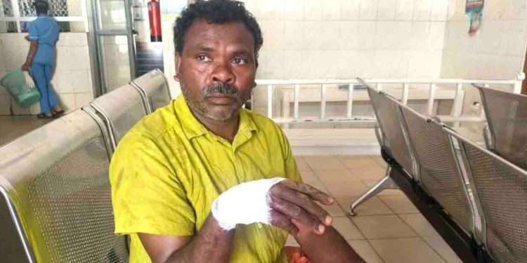 പോത്തിനെ മേയ്ക്കുന്നതിനിടെ കാട്ടുപന്നി ആക്രമിച്ചു