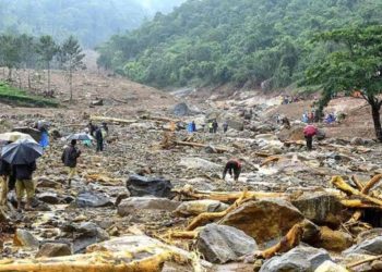 മേപ്പാടി ഉരുൾപൊട്ടലിൽ കടമുറികൾ നഷ്ടപ്പെട്ടവർക്ക് നഷ്ടപരിഹാരം അനുവദിച്ചു