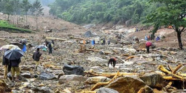 മേപ്പാടി ഉരുൾപൊട്ടലിൽ കടമുറികൾ നഷ്ടപ്പെട്ടവർക്ക് നഷ്ടപരിഹാരം അനുവദിച്ചു