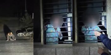 നാല് കാലിൽ നടന്നും നായയെ പോലെ കുരച്ചും പേവിഷ ബാധയേറ്റ യുവാവ്: കീ‍ഴ്പ്പെടുത്താൻ എത്തിയത് വനംവകുപ്പും പൊലീസും