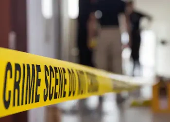 അരുംകൊല: അനിയൻ ചേട്ടനെ തലയ്ക്കടിച്ച് കൊന്നു