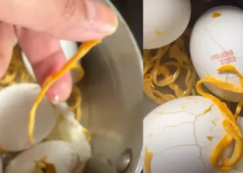 മുട്ട പുഴുങ്ങിയപ്പോൾ പുറത്തു വന്നത് പ്ലാസ്റ്റിക് നൂൽ; അമ്പരപ്പോടെ വിഡിയോ പങ്കുവച്ച് യുവതി