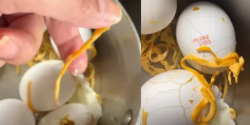 മുട്ട പുഴുങ്ങിയപ്പോൾ പുറത്തു വന്നത് പ്ലാസ്റ്റിക് നൂൽ; അമ്പരപ്പോടെ വിഡിയോ പങ്കുവച്ച് യുവതി