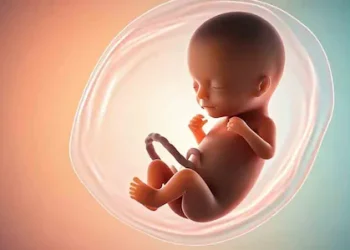 അണ്ഡവിൽപന റാക്കറ്റിലെ 3 സ്ത്രീകൾ പിടിയിൽ; 33 തവണ ശസ്ത്രക്രിയയ്ക്കു വിധേയരായ സ്ത്രീകളും സംഘത്തിൽ