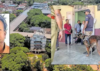 ജയിലിലെ നല്ല ഭക്ഷണം കഴിക്കാൻ കലക്ടറേറ്റിന് ബോംബ് ഭീഷണി; പൊലീസിനെ പ്രതീക്ഷിച്ച് പ്രതി വീടിനു മുന്നിൽ