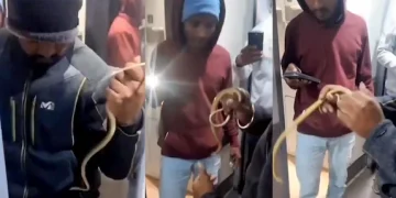 വന്ദേഭാരത് ട്രെയിനിൽ പാമ്പിനെ തുറന്നുവിട്ടു; യുവാവ് അറസ്റ്റിൽ, തെളിവായി സിസിടിവി