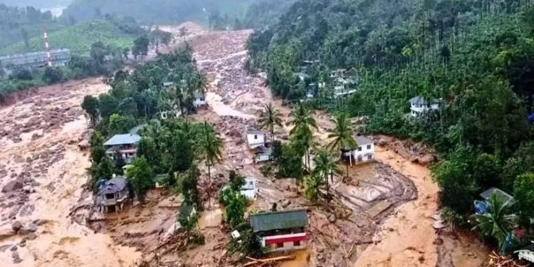 മുണ്ടക്കൈ – ചൂരല്മല ഉരുള്പൊട്ടല്: വീട് നഷ്ടപ്പെട്ട ഉന്നതികളിലെ 13 കുടുംബങ്ങള്ക്ക് വയനാട് ടൗണ്ഷിപ്പ് മാതൃകയില് വീട് നിര്മ്മിച്ചു നൽകും