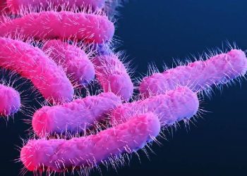 കോഴിക്കോട് മൂന്നര വയസുകാരി ഷിഗല്ല ബാധിച്ച് മരിച്ചു