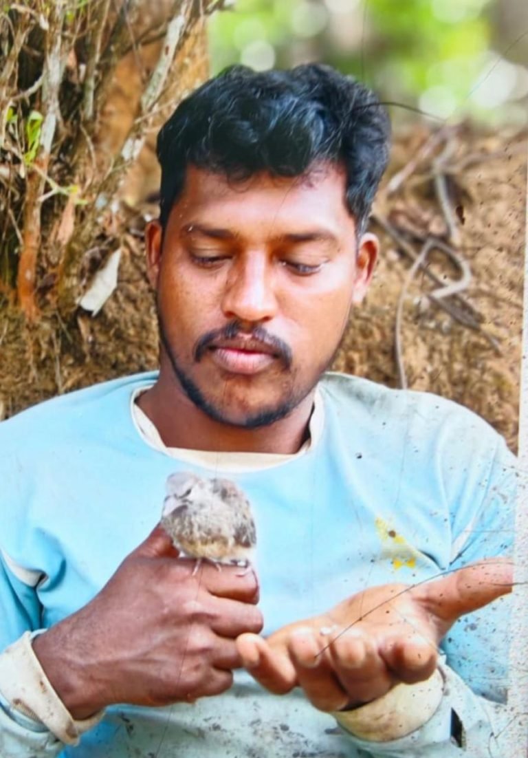 മരം വ്യാപാരവുമായി ബന്ധപ്പെട്ട തർക്കത്തെ തുടർന്ന് യുവാവിനെ വെട്ടിയ സംഭവം: ഒരാൾ പിടിയിൽ
