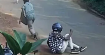 ജനവാസ മേഖലയിലേക്ക് കാട്ടുപന്നി ഇറങ്ങി; ബൈക്ക് യാത്രികരെ ആക്രമിച്ചു