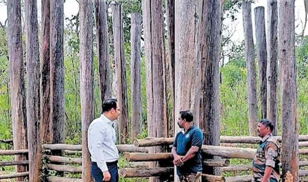 മയക്കുവെടി വെച്ചിട്ടും പിടികൂടാനായില്ല; വടക്കനാട് ഭീതിപരത്തിയ മുട്ടിക്കൊമ്പനെ പിടിക്കാനുള്ള ശ്രമം പരാജയം
