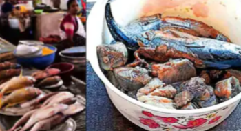 മീൻ പാകം ചെയ്യുമ്പോൾ രൂക്ഷഗന്ധം, കഴിച്ചവർക്ക് ഛർദിയും അതിസാരവും; നടപടിയെടുക്കണമെന്ന് ആവശ്യം