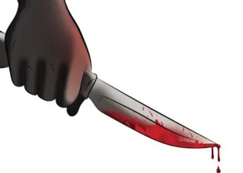 പൊലീസിന് നേരെ ഗുണ്ടാ ആക്രമണം: എസ്ഐയ്ക്ക് കുത്തേറ്റു