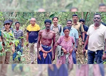 കാട്ടാനകളെ ഭയന്ന് മരത്തിനു മുകളിൽ, രക്ഷപ്പെടുത്തി വനപാലകർ; ജീവൻ കിട്ടിയ സന്തോഷത്തിൽ ദമ്പതിമാർ
