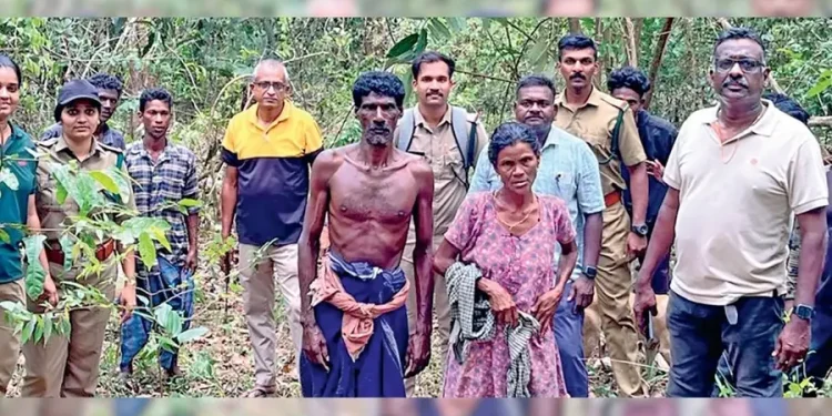 കാട്ടാനകളെ ഭയന്ന് മരത്തിനു മുകളിൽ, രക്ഷപ്പെടുത്തി വനപാലകർ; ജീവൻ കിട്ടിയ സന്തോഷത്തിൽ ദമ്പതിമാർ